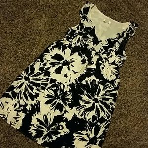 Loft brand dress